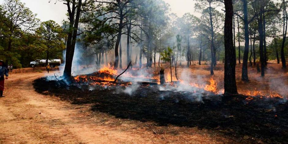 Este viernes hay 89 incendios forestales activos en México