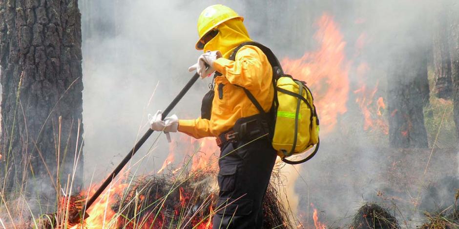 En estos meses de calor hay condiciones específicas para que se produzcan incendios en las zonas boscosas de la capital.