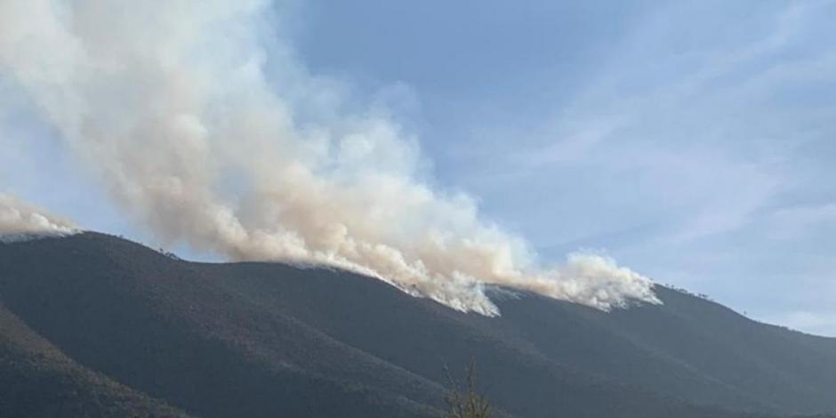 Al alza incendios forestales en México; suman 135.