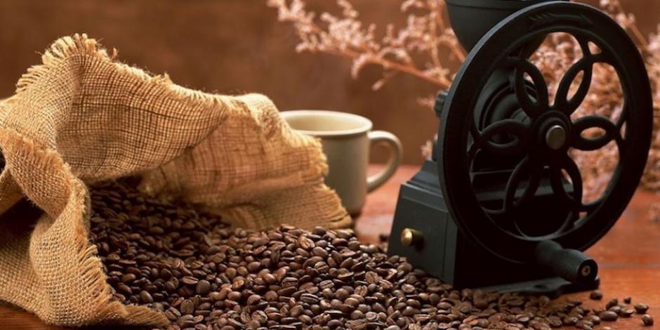 En el festival, los productores ofrecerán tanto café como cacao en semilla.
