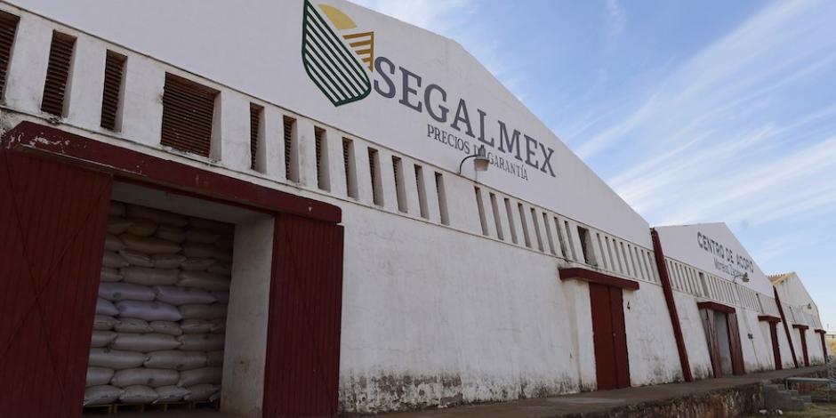 En días pasados, Segalmex anunció la compra de 521 mil toneladas de maíz para garantizar el abasto del grano, como parte del Paquete Contra la Inflación y Carestía.