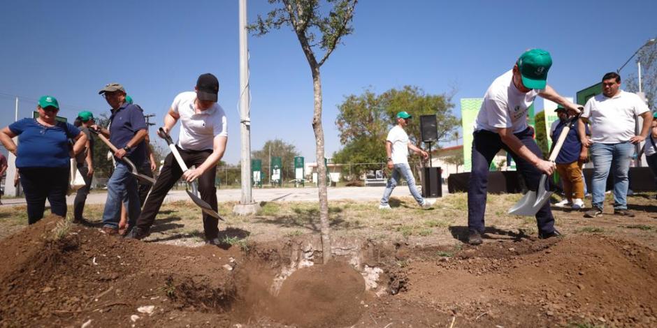 Monterrey va por 50 mil árboles para combatir sequía y planchas de calor.