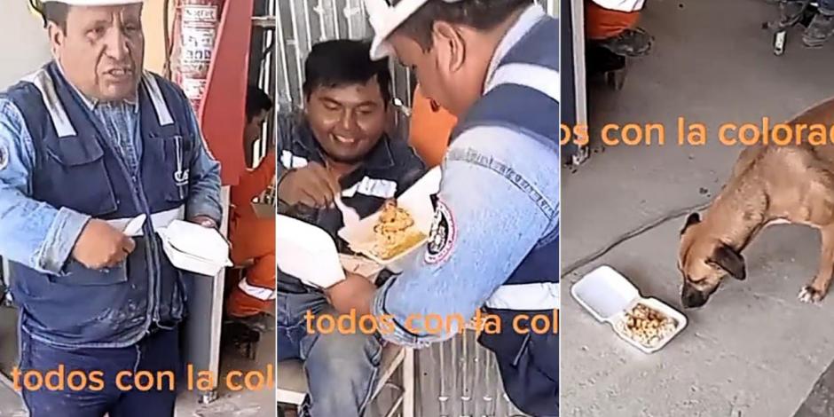Grupo de trabajadores peruanos "dona" comida a lomito; gesto conmueve a usuarios en TikTok.