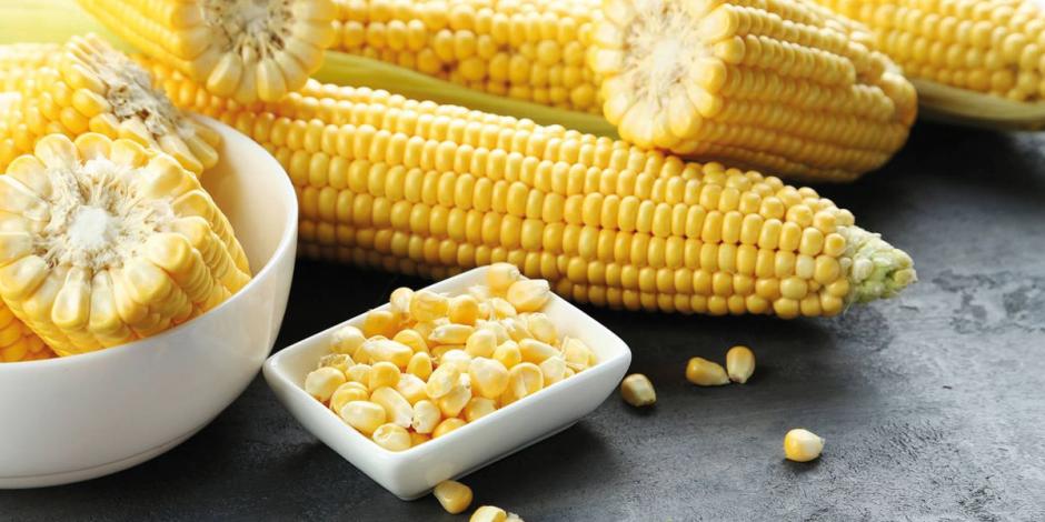 EU está “inamovible” sobre maíz transgénico