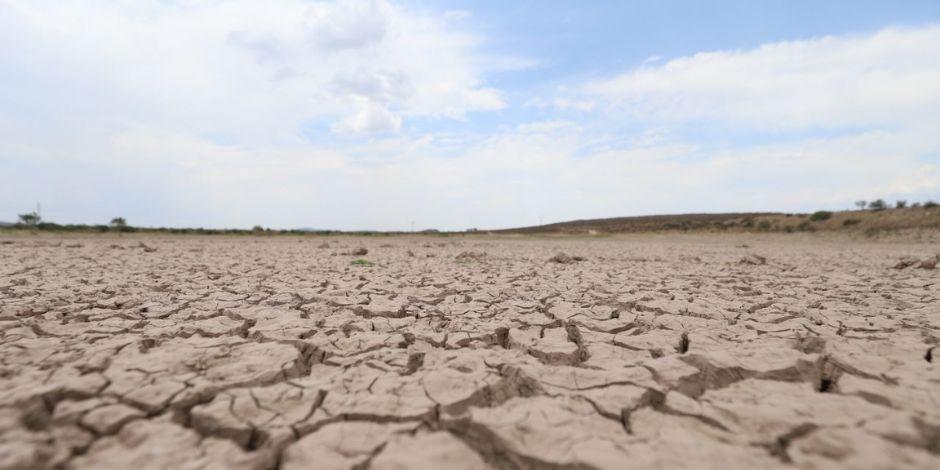 Sufren 7 estados del país sequía extrema