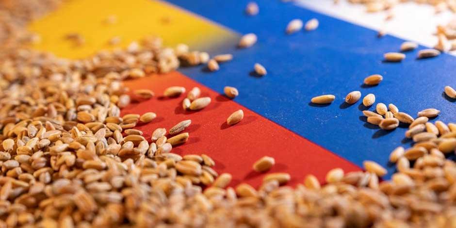 Granos de cereales sobre una ilustración de las banderas de Ucrania y Rusia