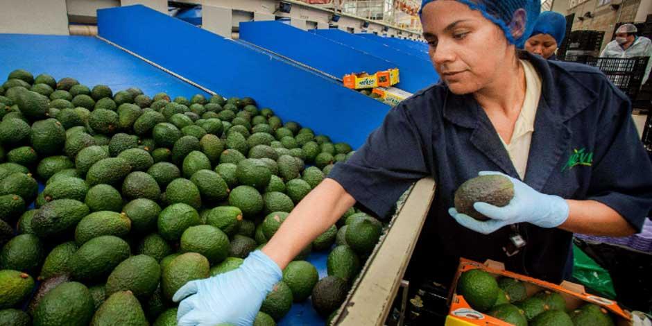 Comercio agroalimentario México-EU aumenta 16 por ciento en primer semestre del año