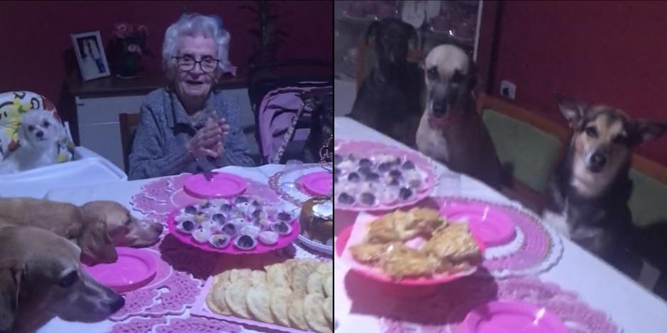 Abuelita celebra su cumpleaños 89 en compañía de sus diez perritos. Foto: Especial