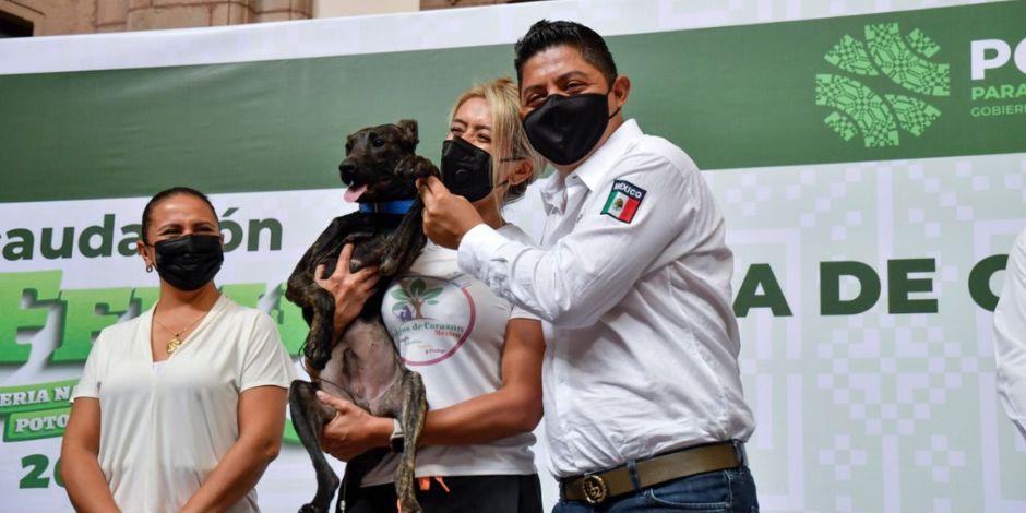 Ricardo Gallardo asegura que SLP defiende, promueve y respeta la dignidad animal.