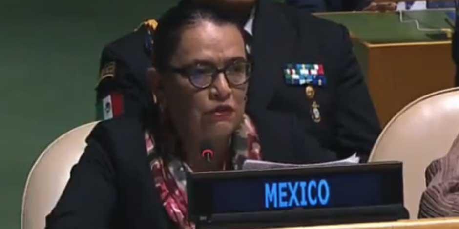 La secretaria de Seguridad y Protección Ciudadana, Rosa Icela Rodríguez