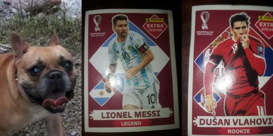 Niño ofrece estampas de Messi y Vlahovic para recuperar un lomito robado