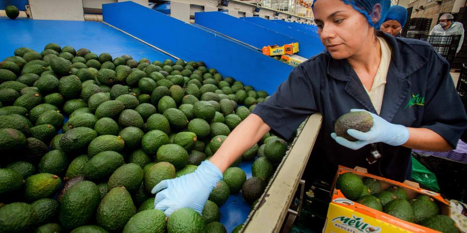 Emiratos Árabes, interesado en aumentar importaciones de agroalimentos mexicanos como mango y aguacate