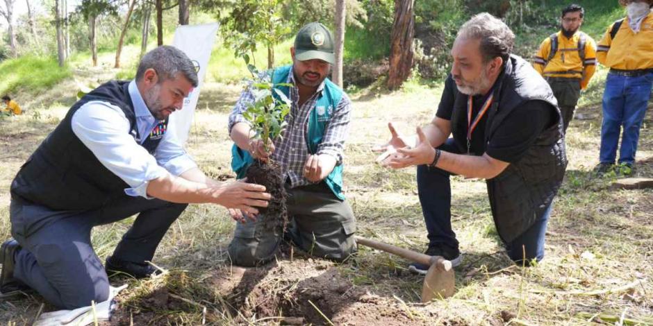Alcaldía Miguel Hidalgo reforesta Área Natural Protegida de Bosques de las Lomas.