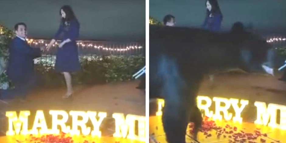 Un oso se llevó la noche cuando se atravesó frente a una petición de matrimonio en Nuevo León