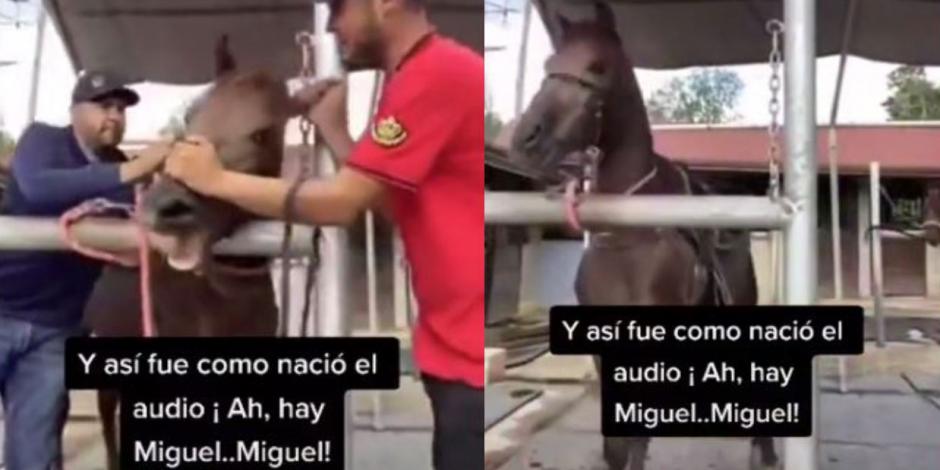 Este es el video original del audio viral Ay Miguel de TikTok