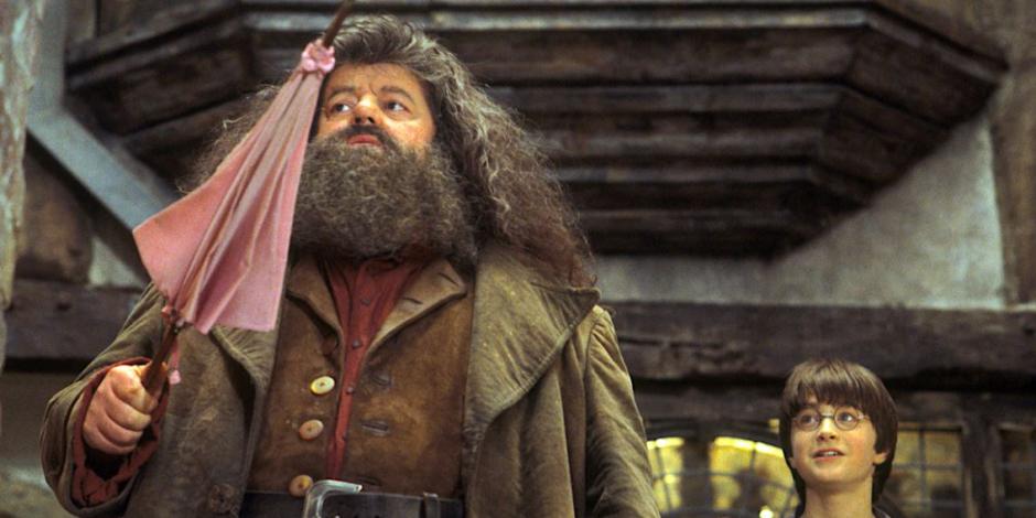 ¿Por qué Hagrid tenía prohibido hacer magia en el mundo de Harry Potter?