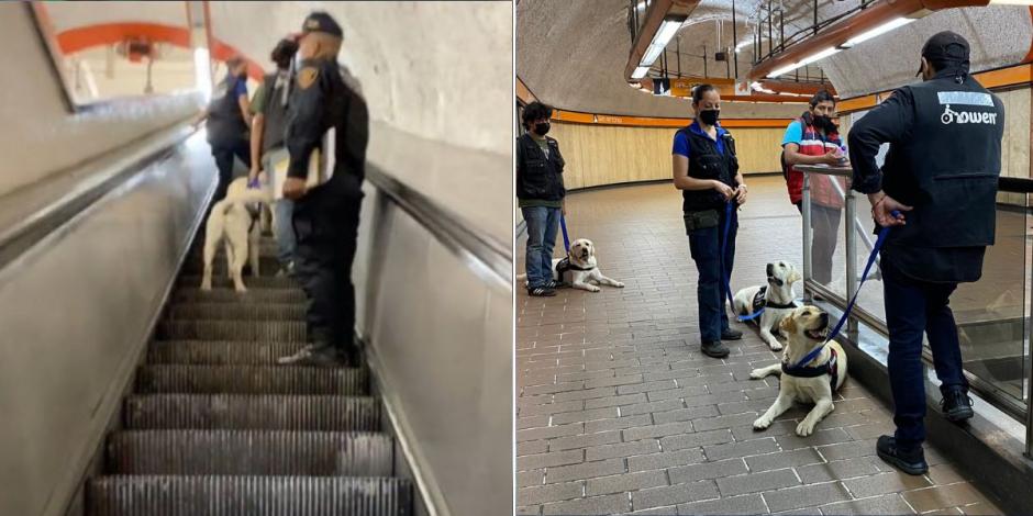 Sacan del Metro CDMX a perritos de asistencia para personas con discapacidad (VIDEO).