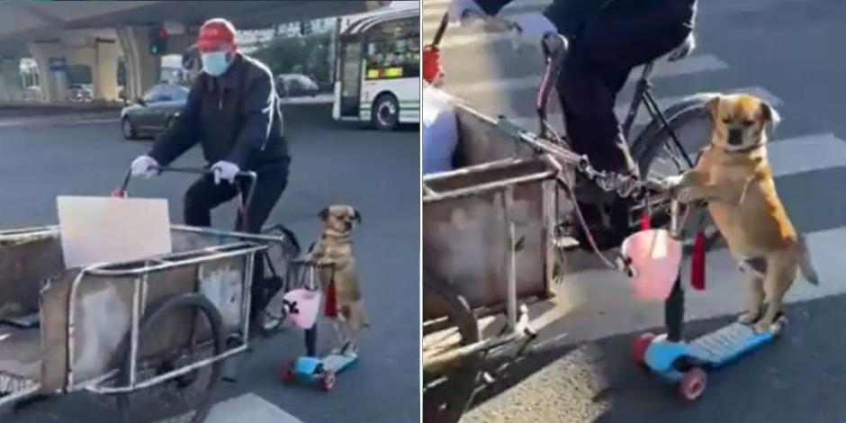 Perrito ayuda a su dueño a vender tamales a bordo de un scooter; VIDEO se hace viral.
