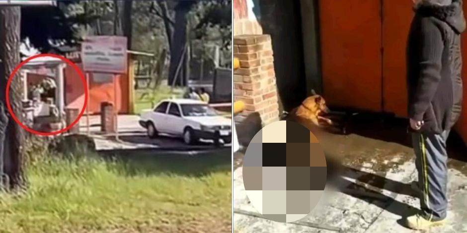 Tlalpan denuncian maltrato animal tras muerte "a palazos" en un restaurante del Ajusco.