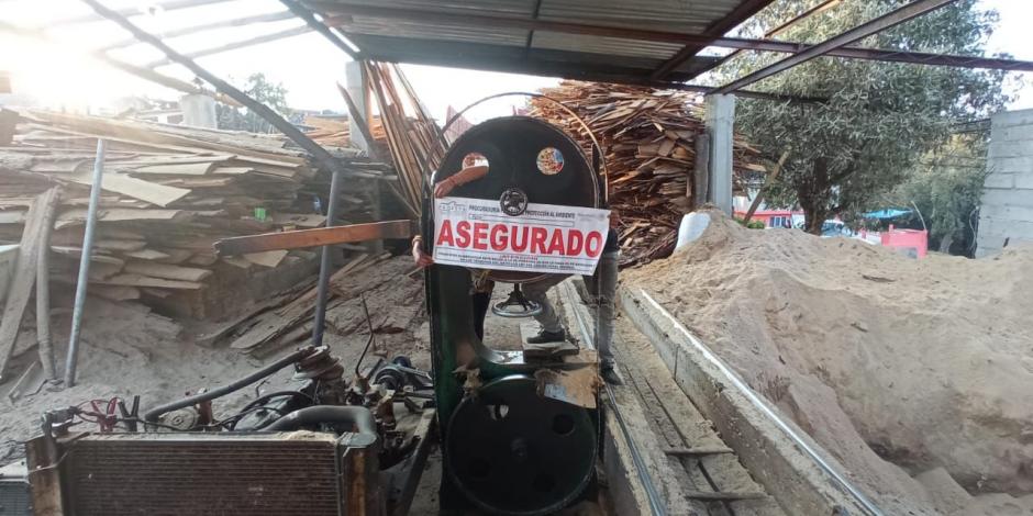 Entre los materiales asegurados por GN y Sedena, se encuentran madera en rollo y escuadría de pino y oyamel.