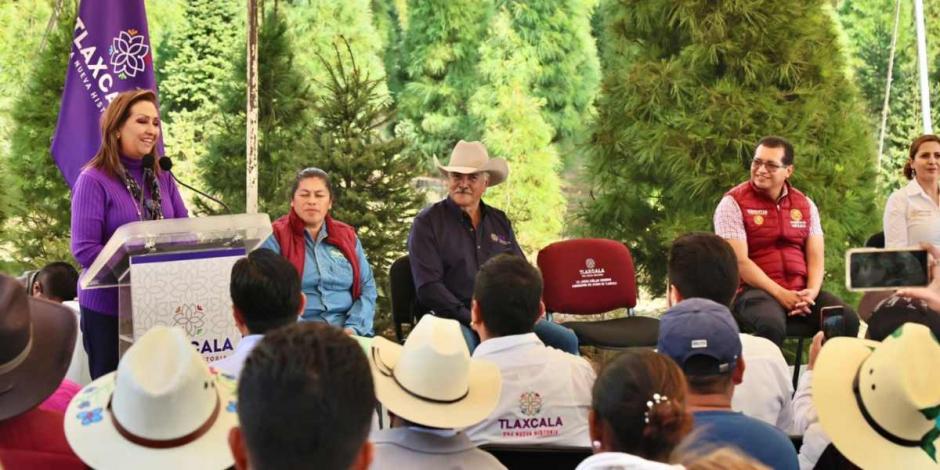 Lorena Cuéllar inaugura punto de venta de árboles navideños "Navitlax" en Tlaxco.