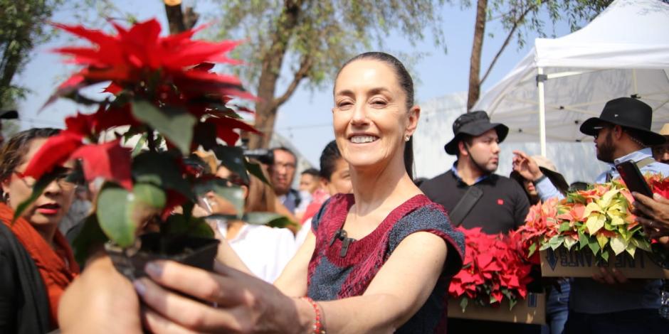 La jefa de Gobierno, Claudia Sheinbaum inauguró la venta de flor de Nochebuena en la alcaldía Xochimilco