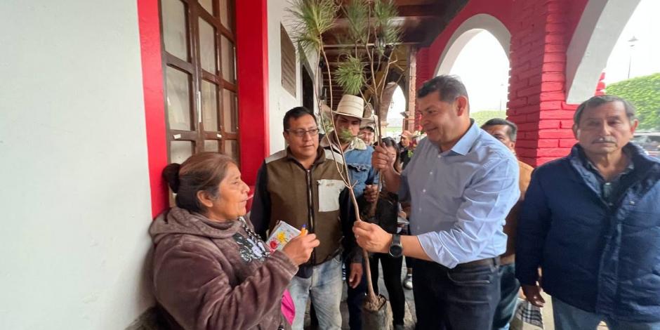 Alejandro Armenta, presidente de la Mesa Directiva del Senado, lleva a cabo la campaña de reforestación “Sembremos Esperanza”.