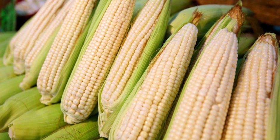 México pone arancel temporal al maíz blanco del 50%.
