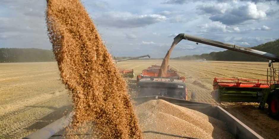 ONU: Bielorrusia permitirá tránsito de granos ucranianos sin condiciones