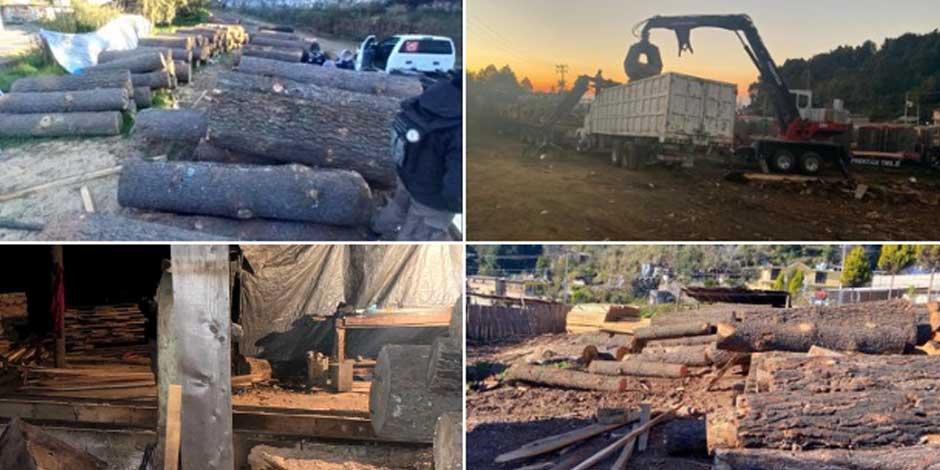 Desmantelan 5 centros de almacenamiento de madera en Morelos