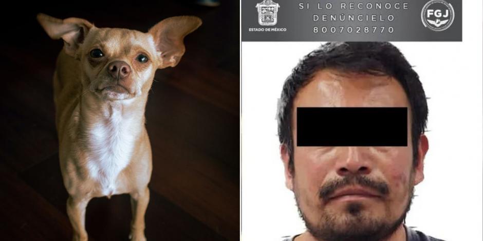 Detienen a hombre por dispar rifle contra perrito Chihuahua en Edomex.