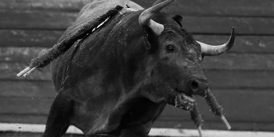 IECM aprueba iniciativa ciudadana que busca prohibir corridas de toros en la CDMX