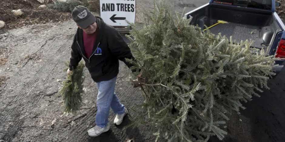 George Highhouse, de Scranton, lleva su árbol de Navidad y una corona al Departamento de Reciclaje del Condado de Lackawanna en Dunmore, Pensilvania