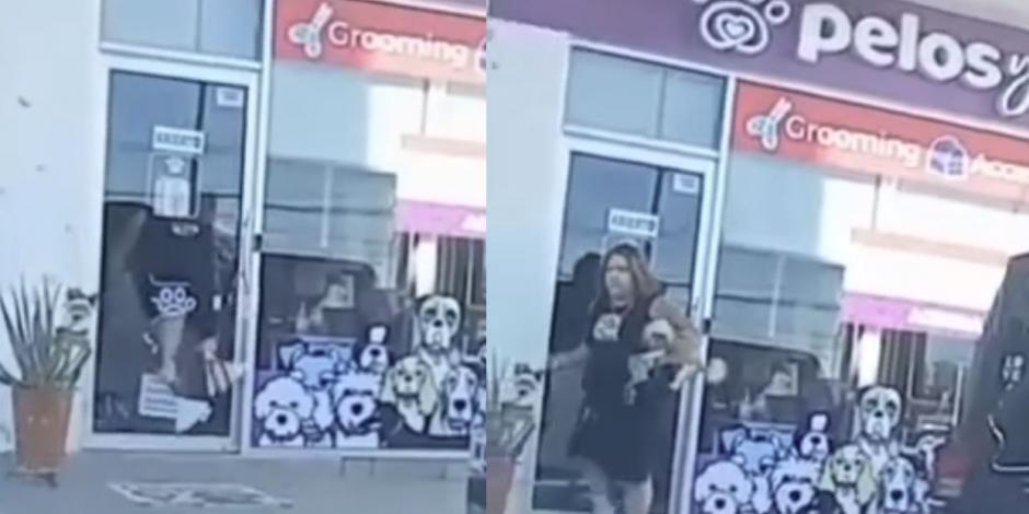 Mujer rompe puerta de vidrio para rescatar a su perrita