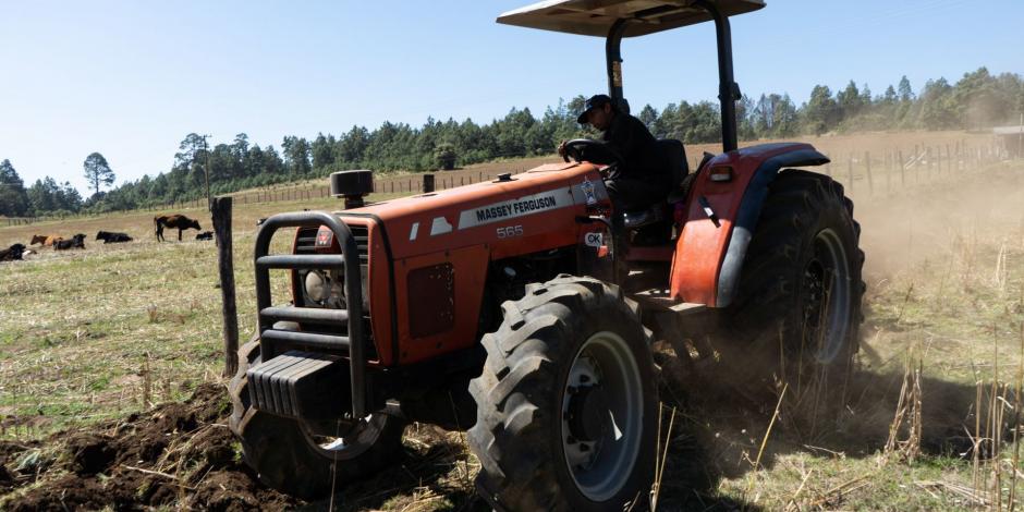 En la imagen, un hombre trabaja barbechando la tierra con un tractor