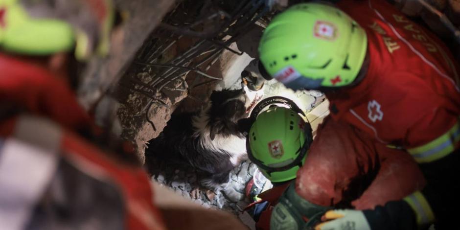 Elementos de la Cruz Roja Mexicana, ayer, con su binomio canino en un rescate.