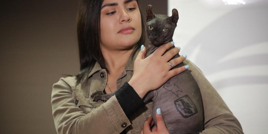 Al gatito se le encontraron dos tatuajes; presuntamente es propiedad de 'Los Mexicles'.