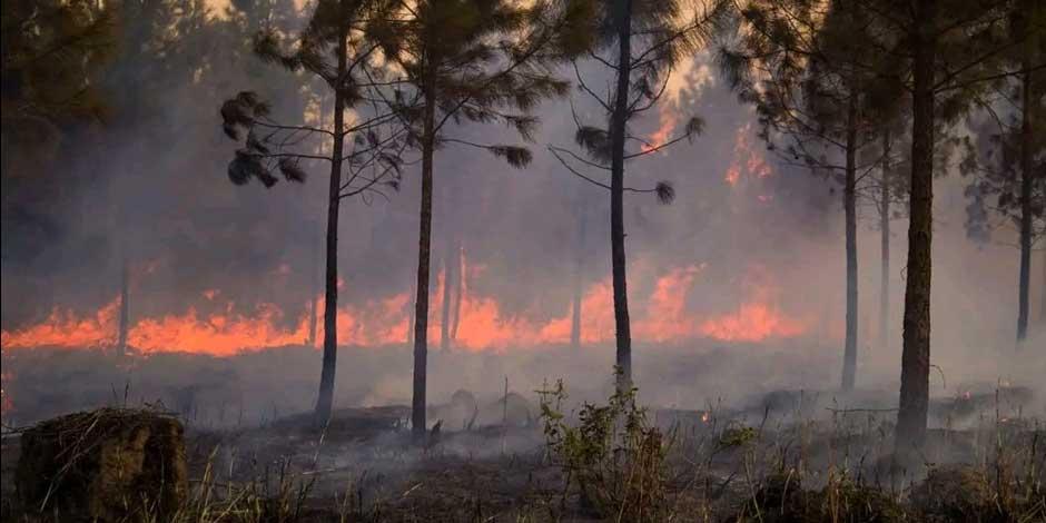 Incendio forestal de gran magnitud y sin control afecta zona oriente de Cuba