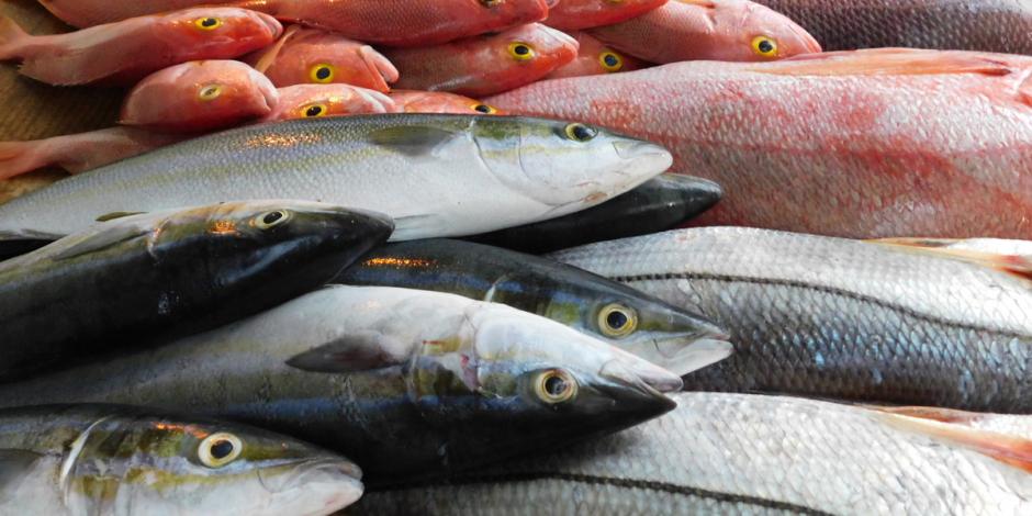 Miércoles de ceniza inicia la temporada en que muchas familias consumen pescado en lugar de carne roja.