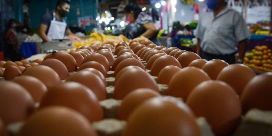 Por maíz, ven riesgos en la producción de huevo