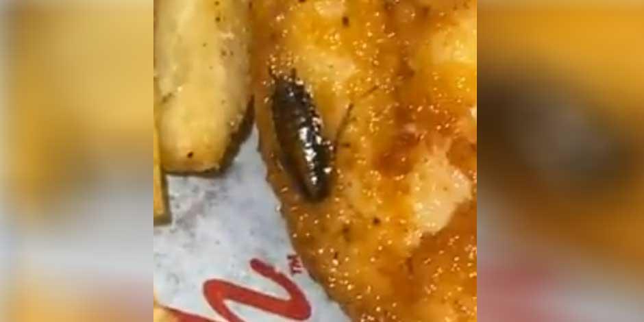 Mujer encuentra cucaracha en pollo de restaurante; antes de darse cuenta, ya le había dado unos bocados