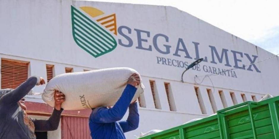 Jorge Humberto González Bocardo, excoordinador de operaciones en Diconsa, es señalado de haber autorizado el contrato con la empresa Carregin con el que suministraron de más de 7 mil toneladas de azúcar.