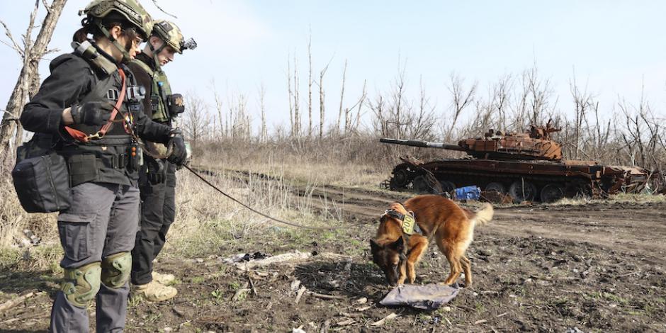 Binomios caninos buscan restos de soldados junto a un tanque en la región de Járkiv, ayer.