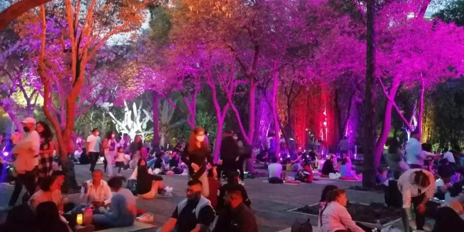 No te pierdas el picnic nocturno en Chapultepec.