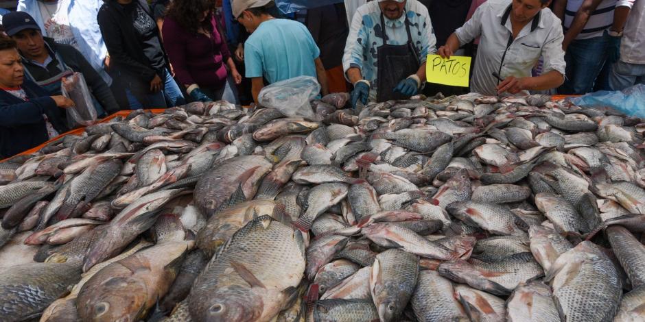En Zinacantepec mercado ofrece pescado fresco, ayer.