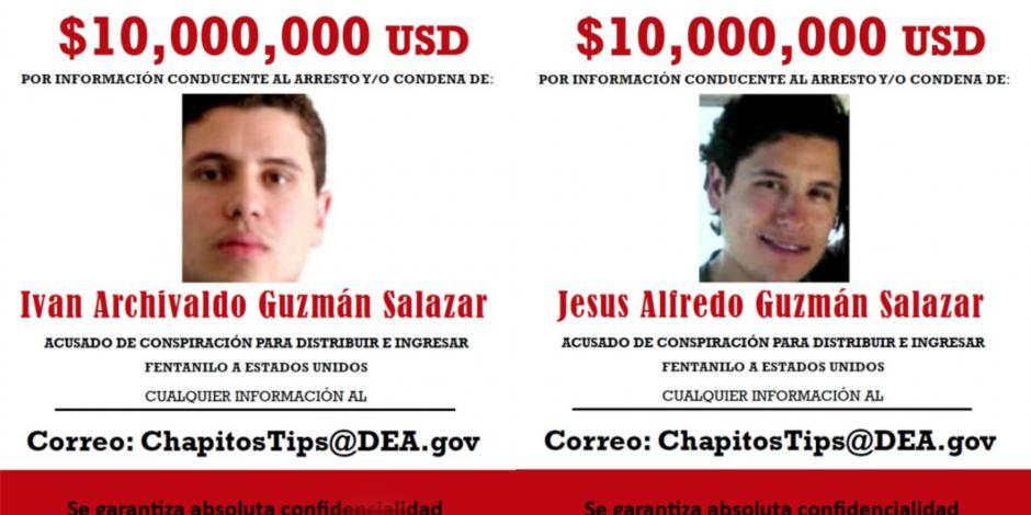 A través de un correo electrónico puedes proporcionar información que ayude a la captura de Los Chapitos.