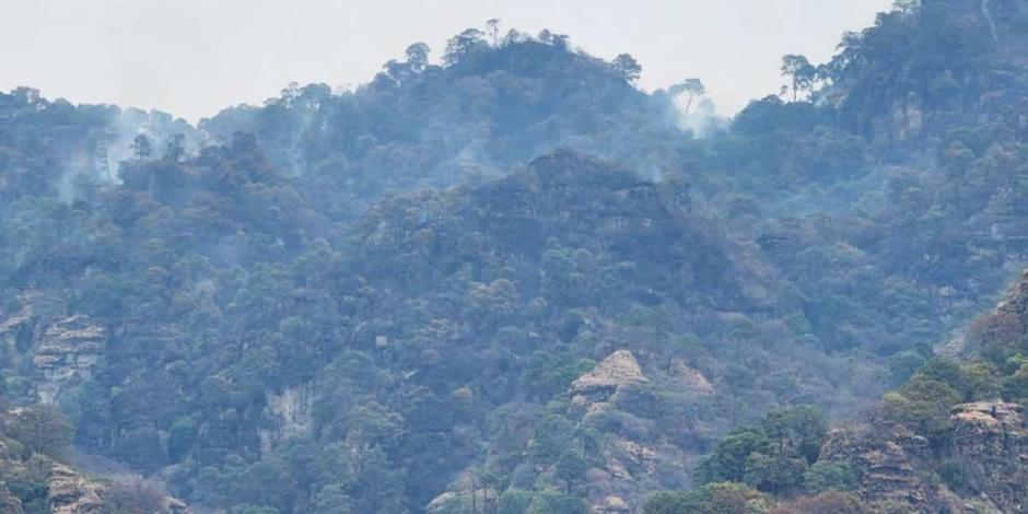 Incendio en Tepoztlán se mantiene activo; suman 30 hectáreas afectadas.