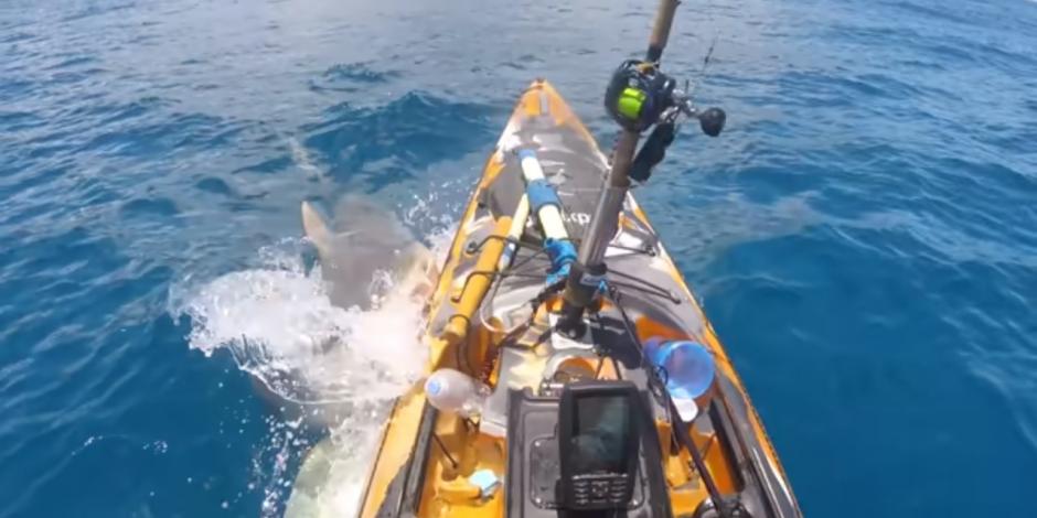 VIDEO. Joven sufre feroz ataque de tiburón en su kayak; así fue el aterrador momento.