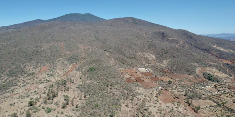 Gobierno de Michoacán publica decreto de área natural protegida al Cerro del Águila