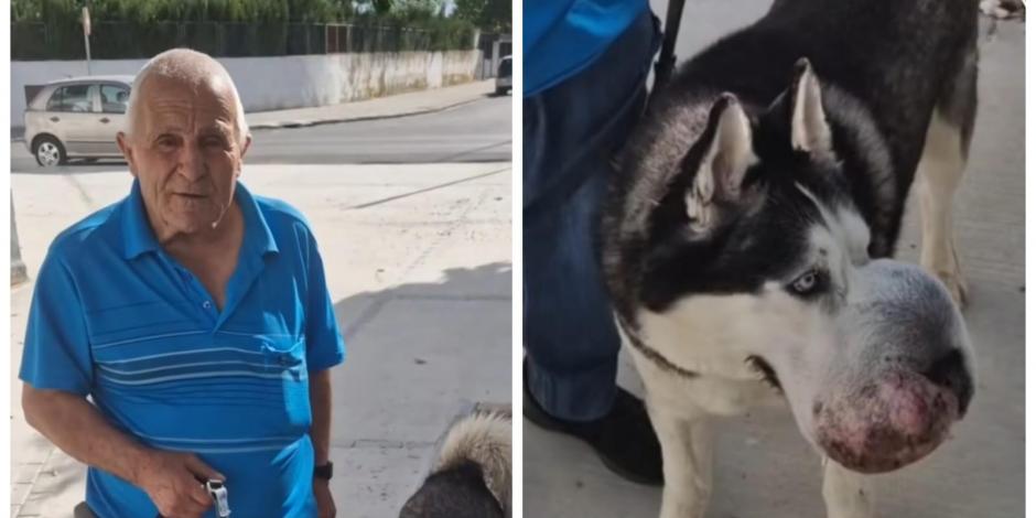 El usuario de TikTok Juan Manuel R. F., quien es amante de los animales, publicó en su cuenta la historia de Damián, un hombre que explica que su perro Rex, de seis años, necesita ayuda urgente.